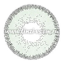 Цветные линзы EOS Sole 2 tone Green Фото 4