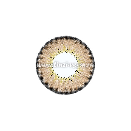 Цветные линзы EOS Briller Brown Фото 3