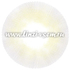 Цветные линзы EOS Von Von Light Gray mini