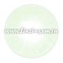 Цветные линзы EOS Sole 1 tone Green Фото 4